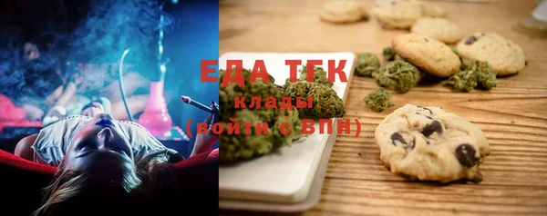 индика Ладушкин