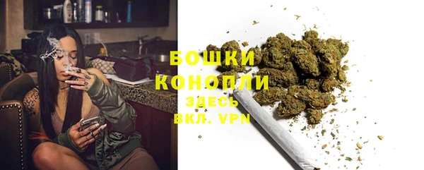 индика Ладушкин