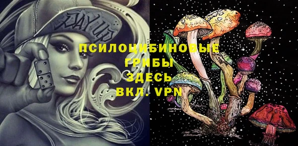 индика Ладушкин