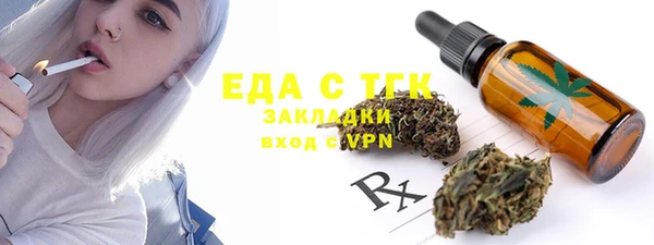 индика Ладушкин
