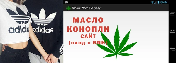 индика Ладушкин