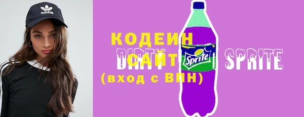 индика Ладушкин