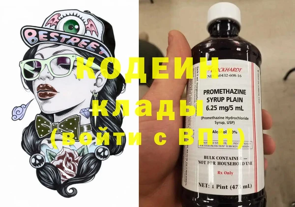 спиды Лагань