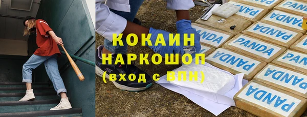 индика Ладушкин