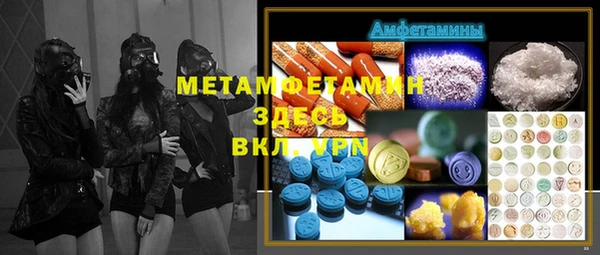 индика Ладушкин