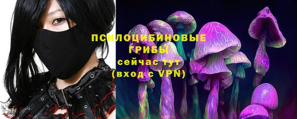индика Ладушкин