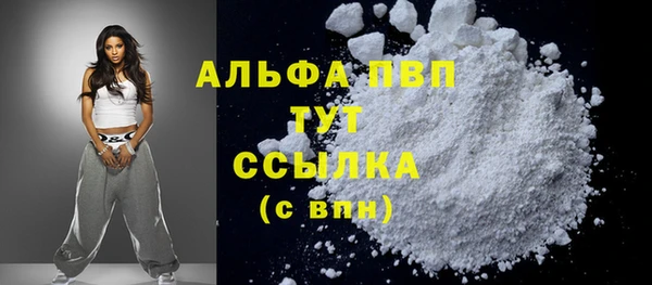 индика Ладушкин