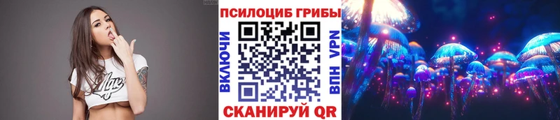 Псилоцибиновые грибы Cubensis Трёхгорный